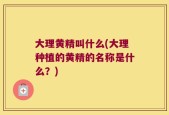 大理黄精叫什么(大理种植的黄精的名称是什么？)