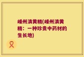 嵊州滇黄精(嵊州滇黄精：一种珍贵中药材的生长地)