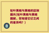 轮叶黄精与黄精的区别图片(轮叶黄精与黄精图解，你知道它们之间的差异吗？)