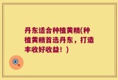 丹东适合种植黄精(种植黄精首选丹东，打造丰收好收益！)