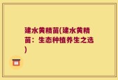 建水黄精苗(建水黄精苗：生态种植养生之选)