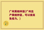 广州黄精种苗(广州出产黄精种苗，可以提高免疫力。)