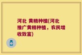 河北 黄精种植(河北推广黄精种植，农民增收致富)