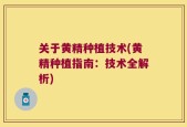 关于黄精种植技术(黄精种植指南：技术全解析)