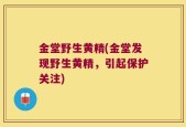 金堂野生黄精(金堂发现野生黄精，引起保护关注)