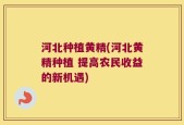 河北种植黄精(河北黄精种植 提高农民收益的新机遇)