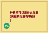 种黄精可以用什么化肥(黄精的化肥有哪些？)
