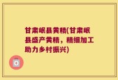 甘肃岷县黄精(甘肃岷县盛产黄精，精细加工助力乡村振兴)