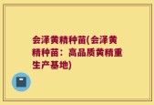 会泽黄精种苗(会泽黄精种苗：高品质黄精重生产基地)