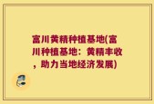富川黄精种植基地(富川种植基地：黄精丰收，助力当地经济发展)
