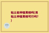 粘土能种植黄精吗(用粘土种植黄精可行吗？)