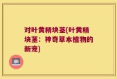 对叶黄精块茎(叶黄精块茎：神奇草本植物的新宠)