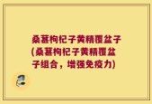 桑葚枸杞子黄精覆盆子(桑葚枸杞子黄精覆盆子组合，增强免疫力)