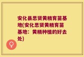 安化县思贤黄精育苗基地(安化思贤黄精育苗基地：黄精种植的好去处)