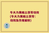 牛大力黄精土茯苓功效(牛大力黄精土茯苓：功效及作用解析)
