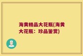海黄精品大花瓶(海黄大花瓶：珍品鉴赏)