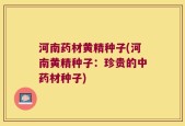 河南药材黄精种子(河南黄精种子：珍贵的中药材种子)
