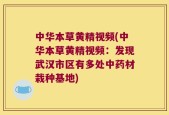 中华本草黄精视频(中华本草黄精视频：发现武汉市区有多处中药材栽种基地)