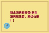 新余滇黄精种苗(新余渐黄花生苗，质优价廉！)