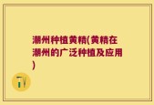 潮州种植黄精(黄精在潮州的广泛种植及应用)