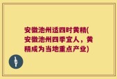 安徽池州适四时黄精(安徽池州四季宜人，黄精成为当地重点产业)