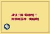 战棋三国 黄精魄(三国策略游戏：黄精魄)