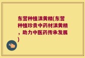 东营种植滇黄精(东营种植珍贵中药材滇黄精，助力中医药传承发展)