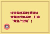 梓潼黄精基地(重建梓潼黄精种植基地，打造“黄金产业链”)