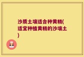 沙质土壤适合种黄精(适宜种植黄精的沙壤土)