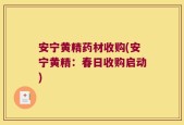 安宁黄精药材收购(安宁黄精：春日收购启动)