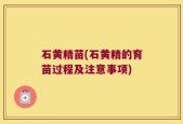 石黄精苗(石黄精的育苗过程及注意事项)