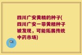 四川广安黄精的种子(四川广安一带黄精种子被发现，可能拓展传统中药市场)