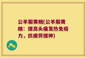 公羊服黄精(公羊服黄精：提高头痛发热免疫力，抗疲劳提神)