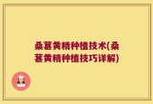 桑葚黄精种植技术(桑葚黄精种植技巧详解)