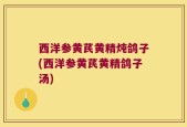 西洋参黄芪黄精炖鸽子(西洋参黄芪黄精鸽子汤)