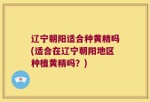 辽宁朝阳适合种黄精吗(适合在辽宁朝阳地区种植黄精吗？)