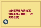 拉狗蛋草根与黄精(拉狗蛋草根与黄精：一对天然佳偶)