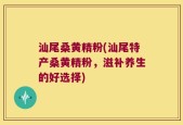 汕尾桑黄精粉(汕尾特产桑黄精粉，滋补养生的好选择)