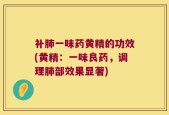 补肺一味药黄精的功效(黄精：一味良药，调理肺部效果显著)