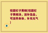桂圆杞子黄精(桂圆杞子黄精汤，滋补佳品，可滋养身体，补充元气)