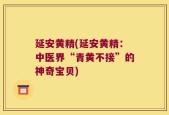 延安黄精(延安黄精：中医界“青黄不接”的神奇宝贝)