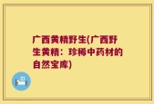 广西黄精野生(广西野生黄精：珍稀中药材的自然宝库)