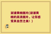 溆浦黄精图片(溆浦黄精的高清图片，让你感受其自然之美！)