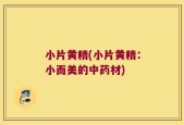 小片黄精(小片黄精：小而美的中药材)