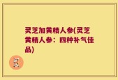 灵芝加黄精人参(灵芝黄精人参：四种补气佳品)