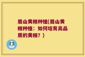 眉山黄精种植(眉山黄精种植：如何培育高品质的黄精？)