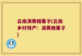 云南滇黄精果子(云南乡村特产：滇黄精果子)