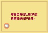 哪里买黄精牡蛎(购买黄精牡蛎的好去处)