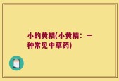 小的黄精(小黄精：一种常见中草药)