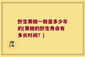 野生黄精一般是多少年的(黄精的野生寿命有多长时间？)